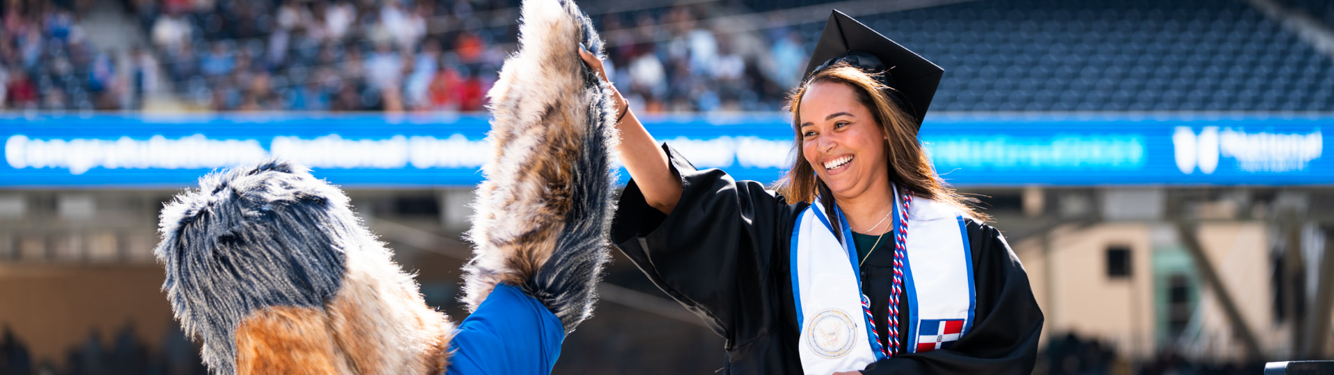 a female graduate high fives mascot Navi